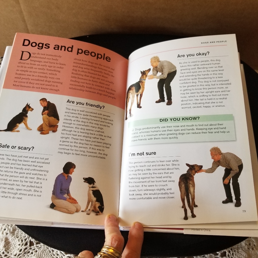 Dog Book - Picture 4 of 14